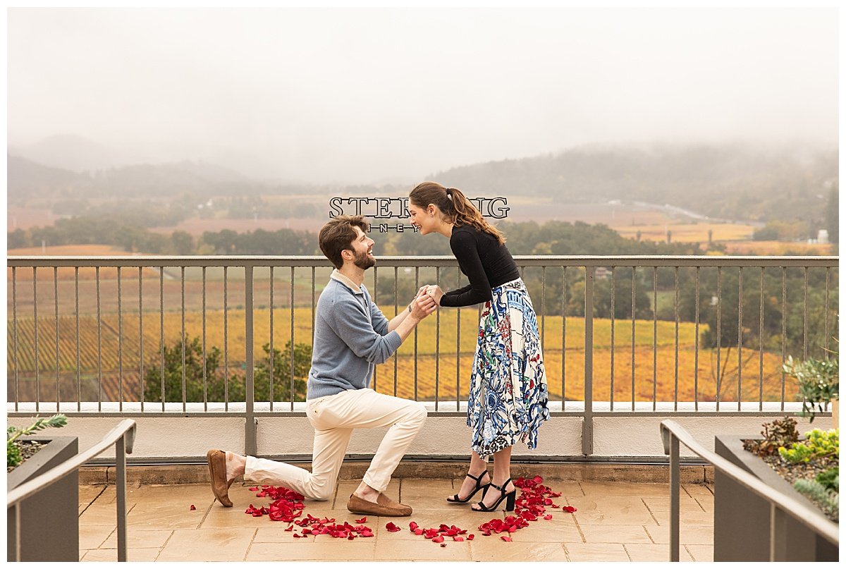 Proposal at Sterling Vineyards in Calistoga California_0005.jpg