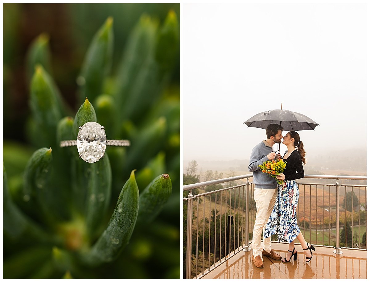 Proposal at Sterling Vineyards in Calistoga California_0010.jpg