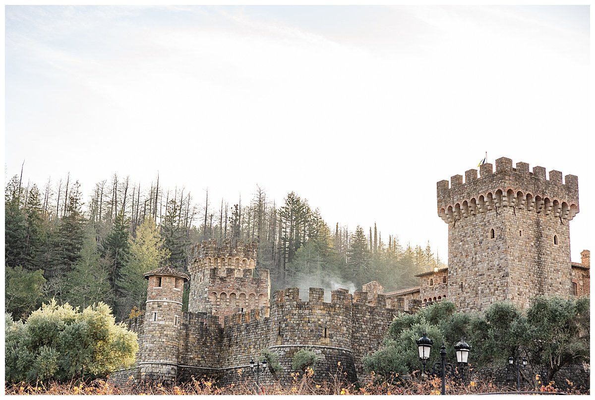 Castello di Amorosa Proposal_0001.jpg