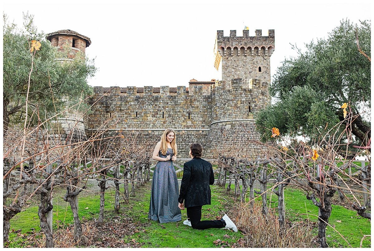 Castello di Amorosa Proposal_0006.jpg