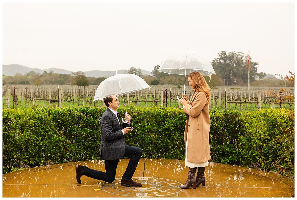 Proposal at Patz and Hall Winery in Sonoma California-4.jpg
