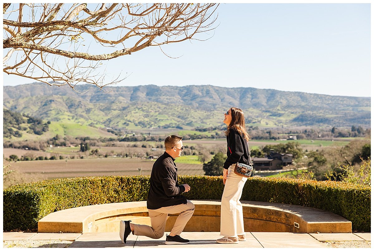 Proposal at Keever Winery in Napa California_0003.jpg