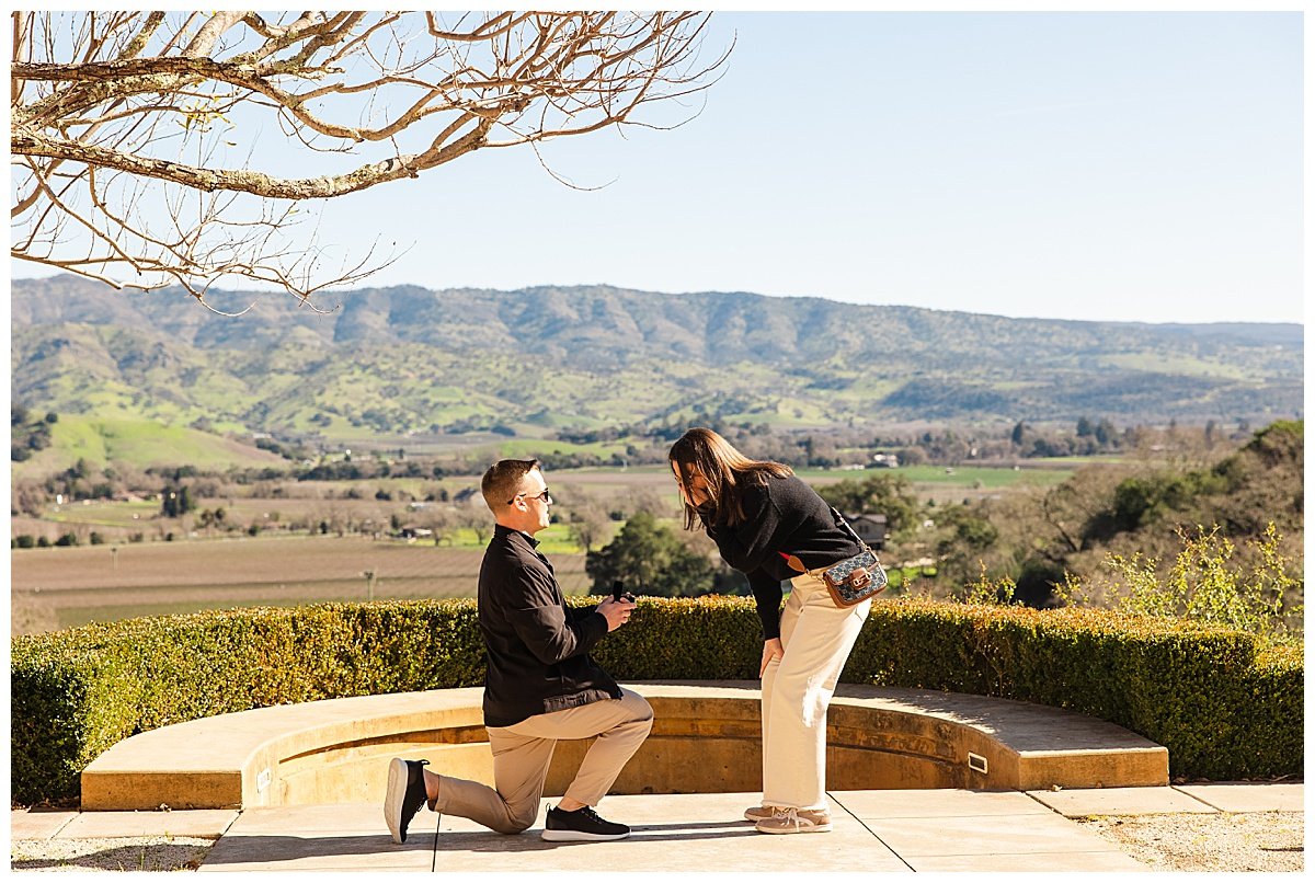 Proposal at Keever Winery in Napa California_0004.jpg