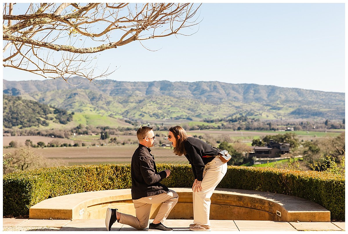 Proposal at Keever Winery in Napa California_0006.jpg