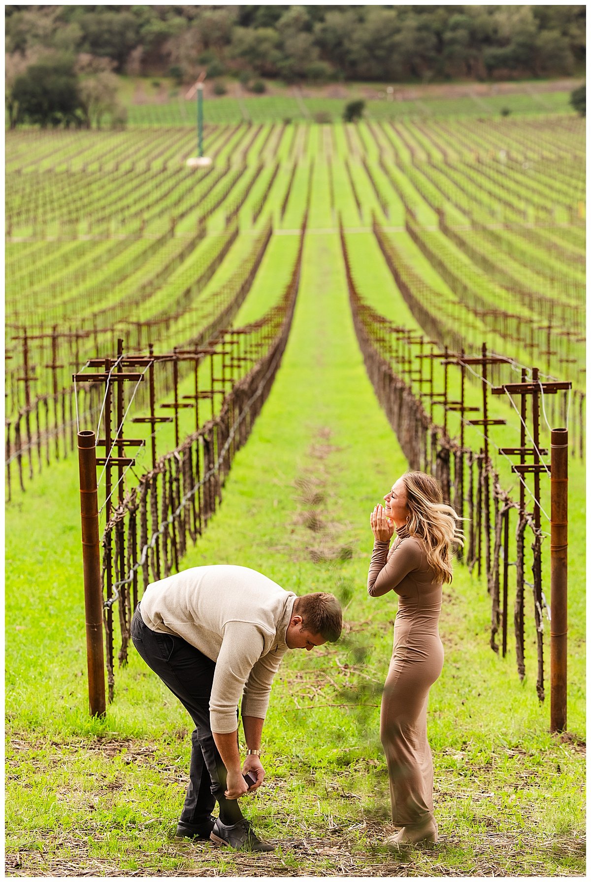Engagement Photos at Stags' Leap Winery in Napa California_0002.jpg