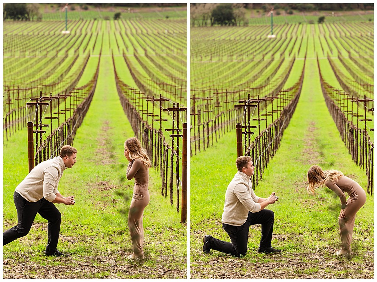 Engagement Photos at Stags' Leap Winery in Napa California_0003.jpg