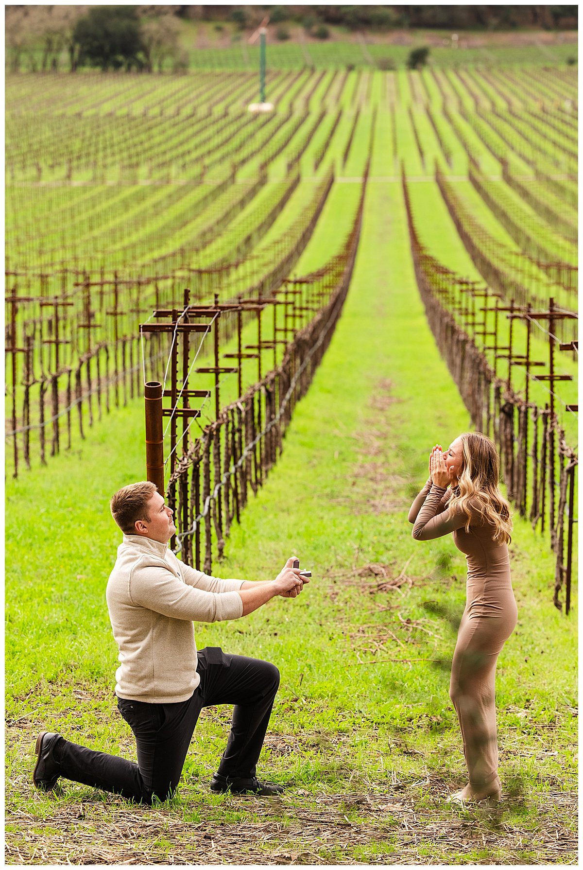 Engagement Photos at Stags' Leap Winery in Napa California_0004.jpg