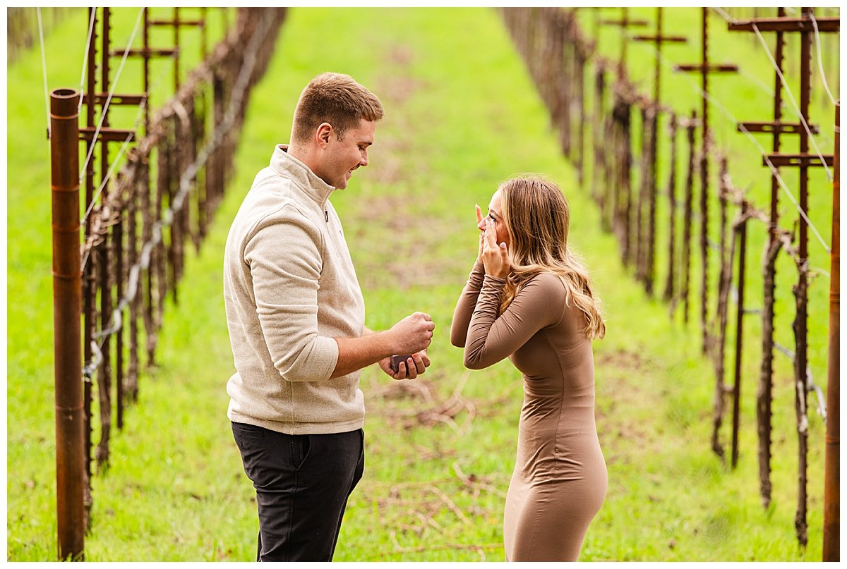 Engagement Photos at Stags' Leap Winery in Napa California_0005.jpg