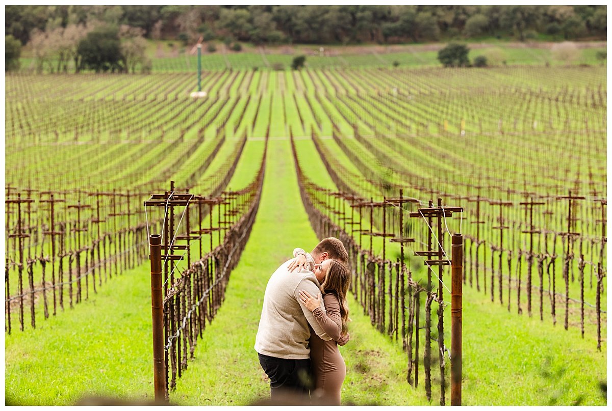 Engagement Photos at Stags' Leap Winery in Napa California_0006.jpg