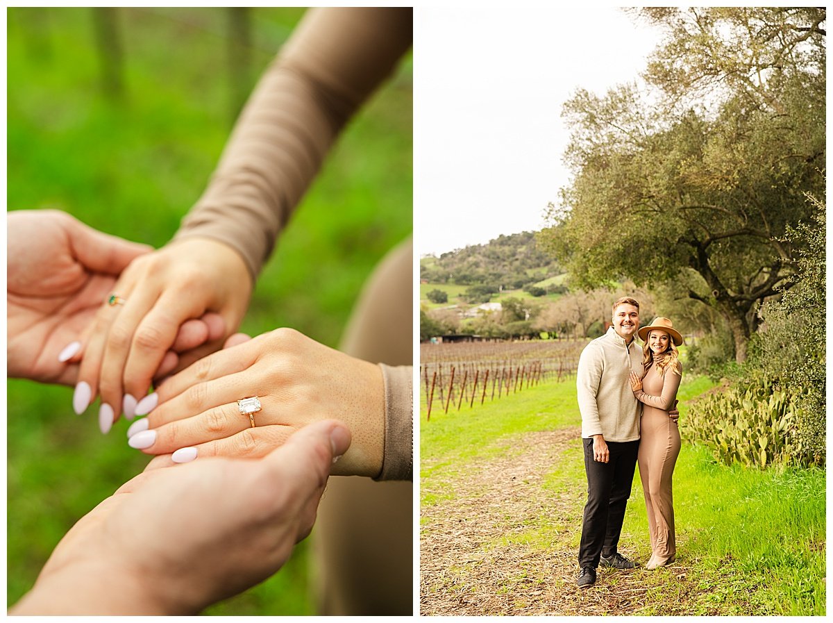 Engagement Photos at Stags' Leap Winery in Napa California_0009.jpg