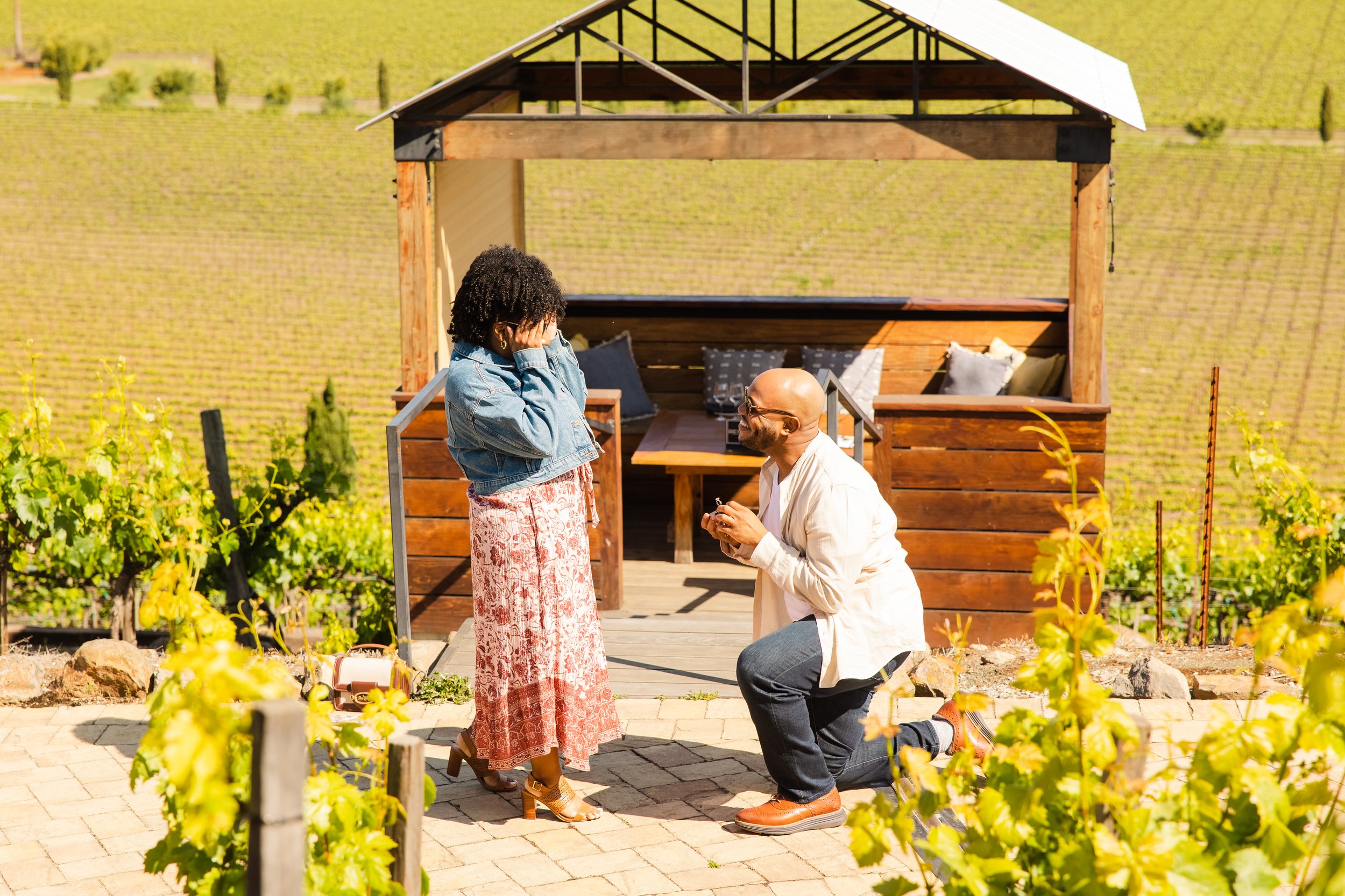 Proposal outside Private Outlook at Viansa Sonoma Winery.jpg