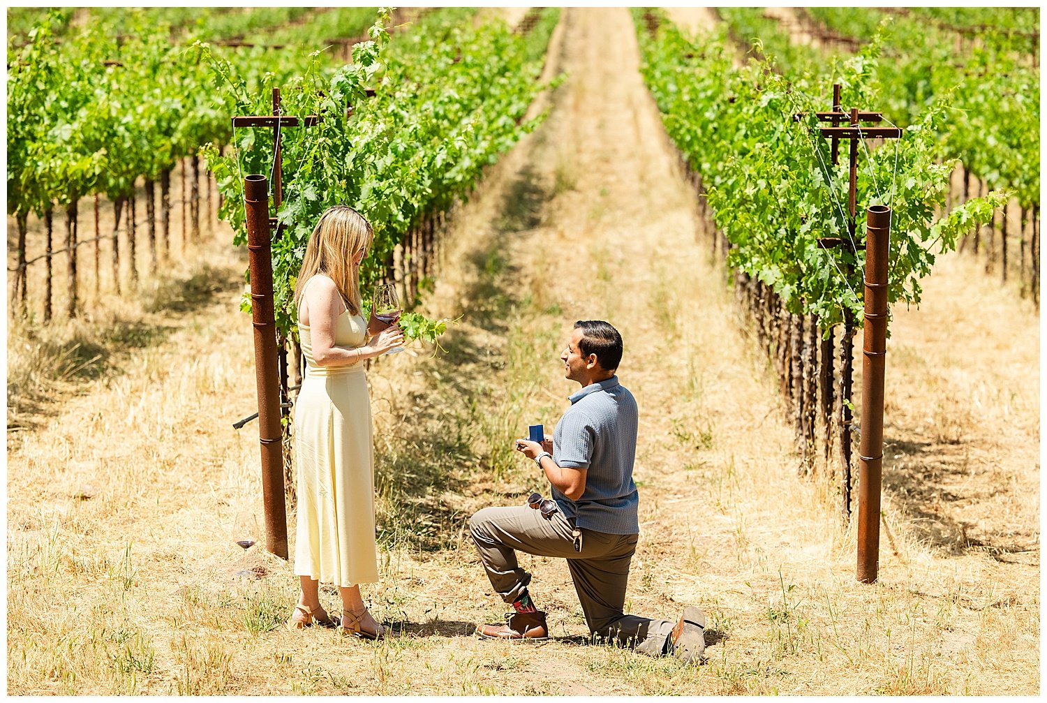Vineyard Proposal at Stags' Leap_0002.jpg