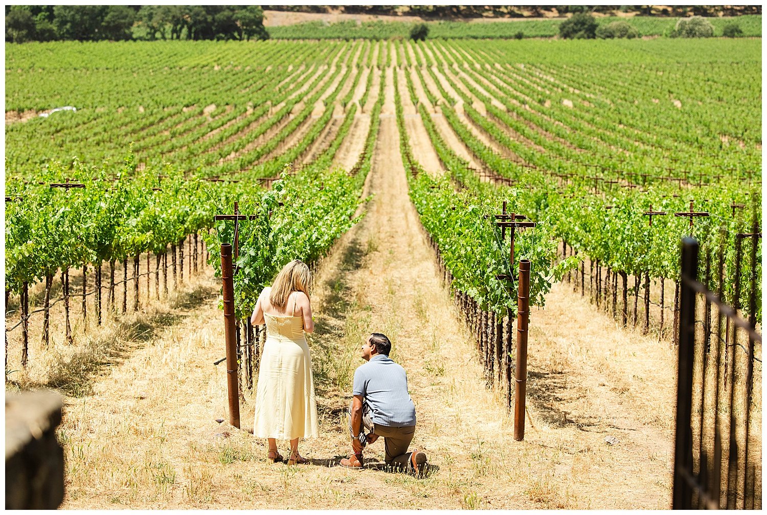 Vineyard Proposal at Stags' Leap_0001.jpg