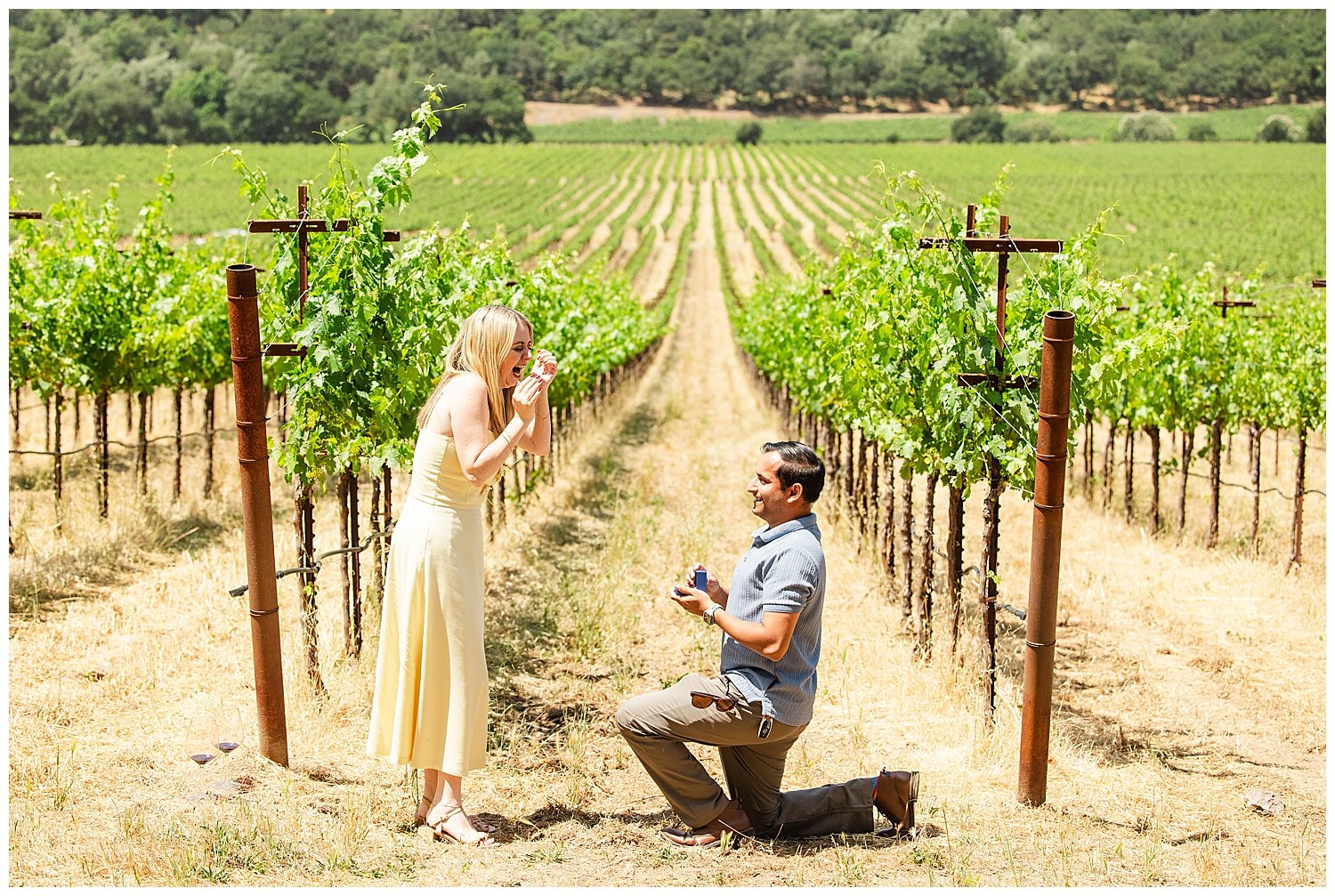 Vineyard Proposal at Stags' Leap_0004.jpg