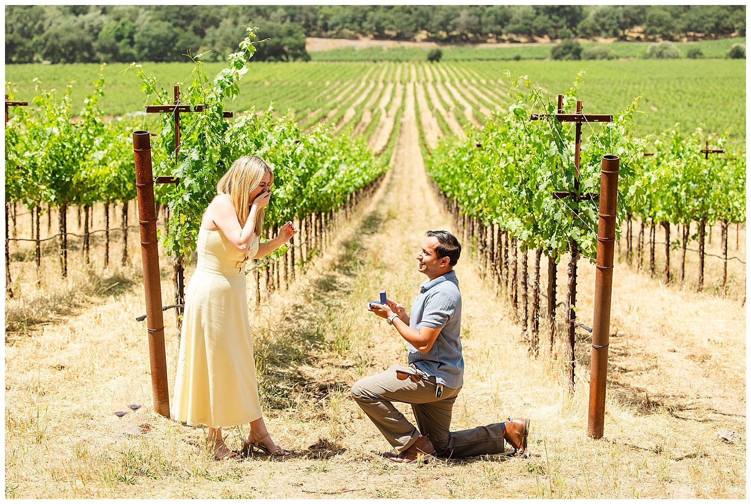 Vineyard Proposal at Stags' Leap_0005.jpg