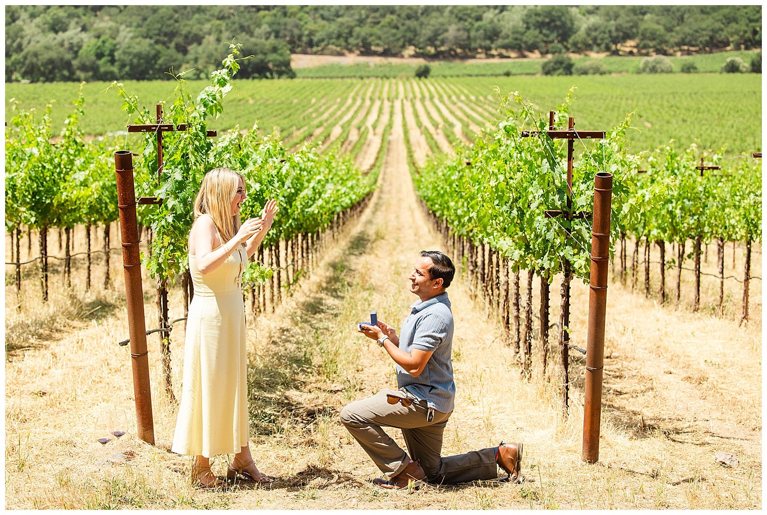 Vineyard Proposal at Stags' Leap_0006.jpg
