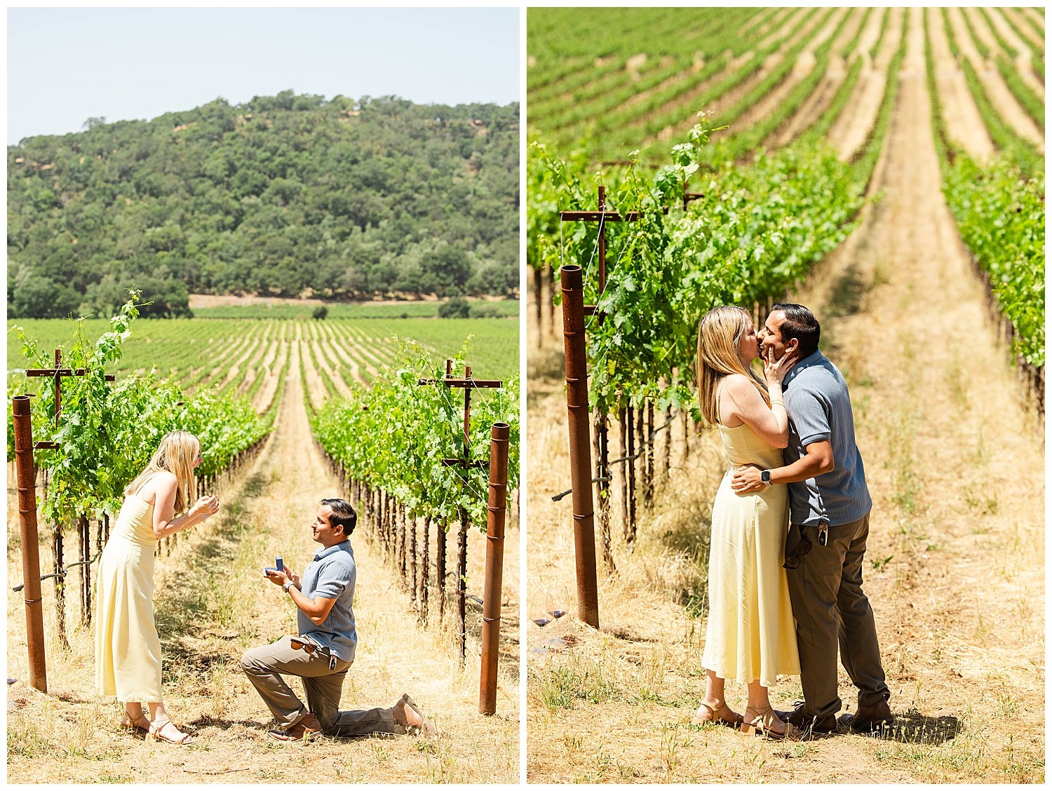 Vineyard Proposal at Stags' Leap_0007.jpg