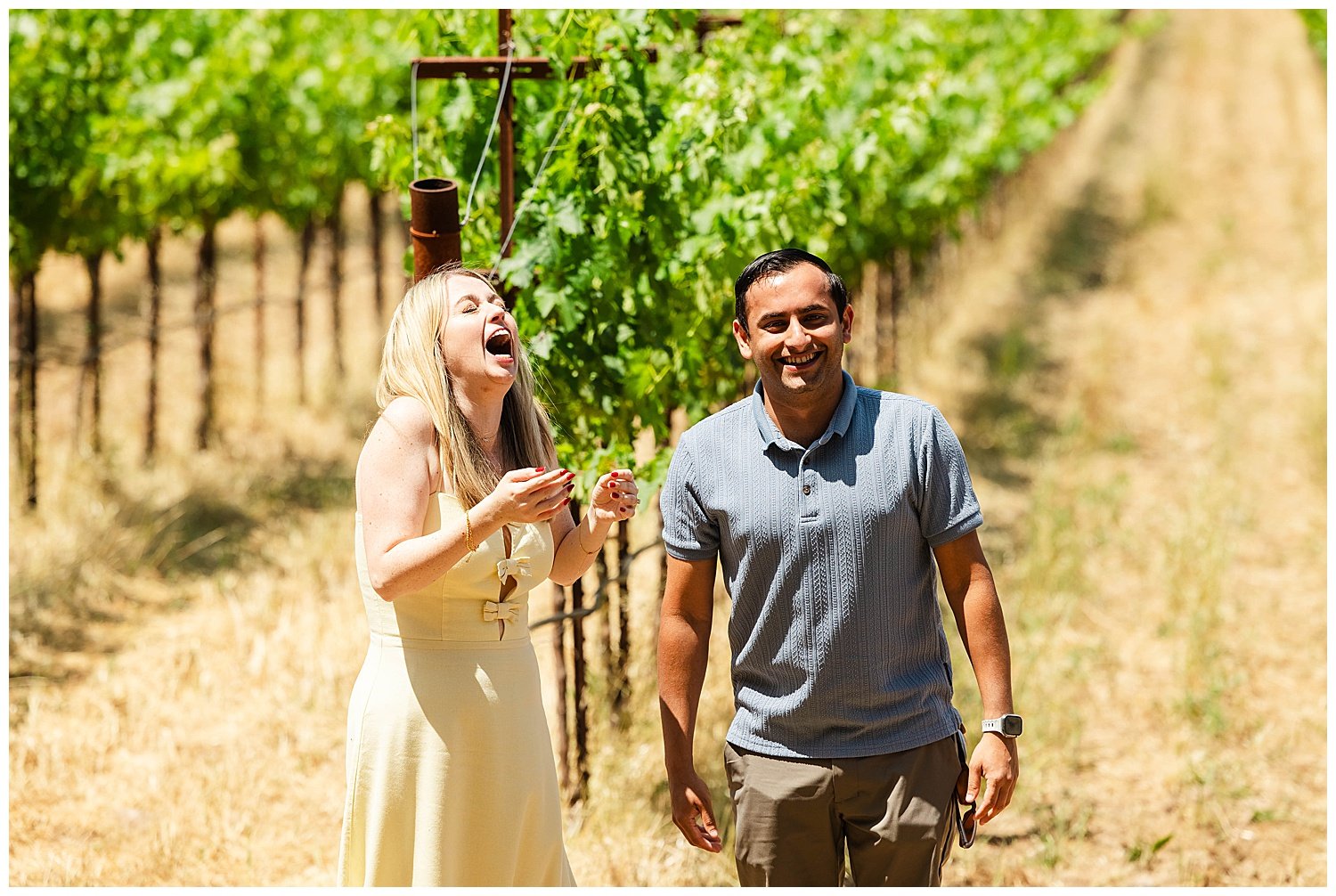 Vineyard Proposal at Stags' Leap_0008.jpg