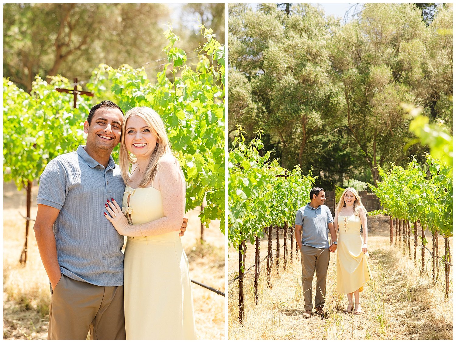 Vineyard Proposal at Stags' Leap_0010.jpg