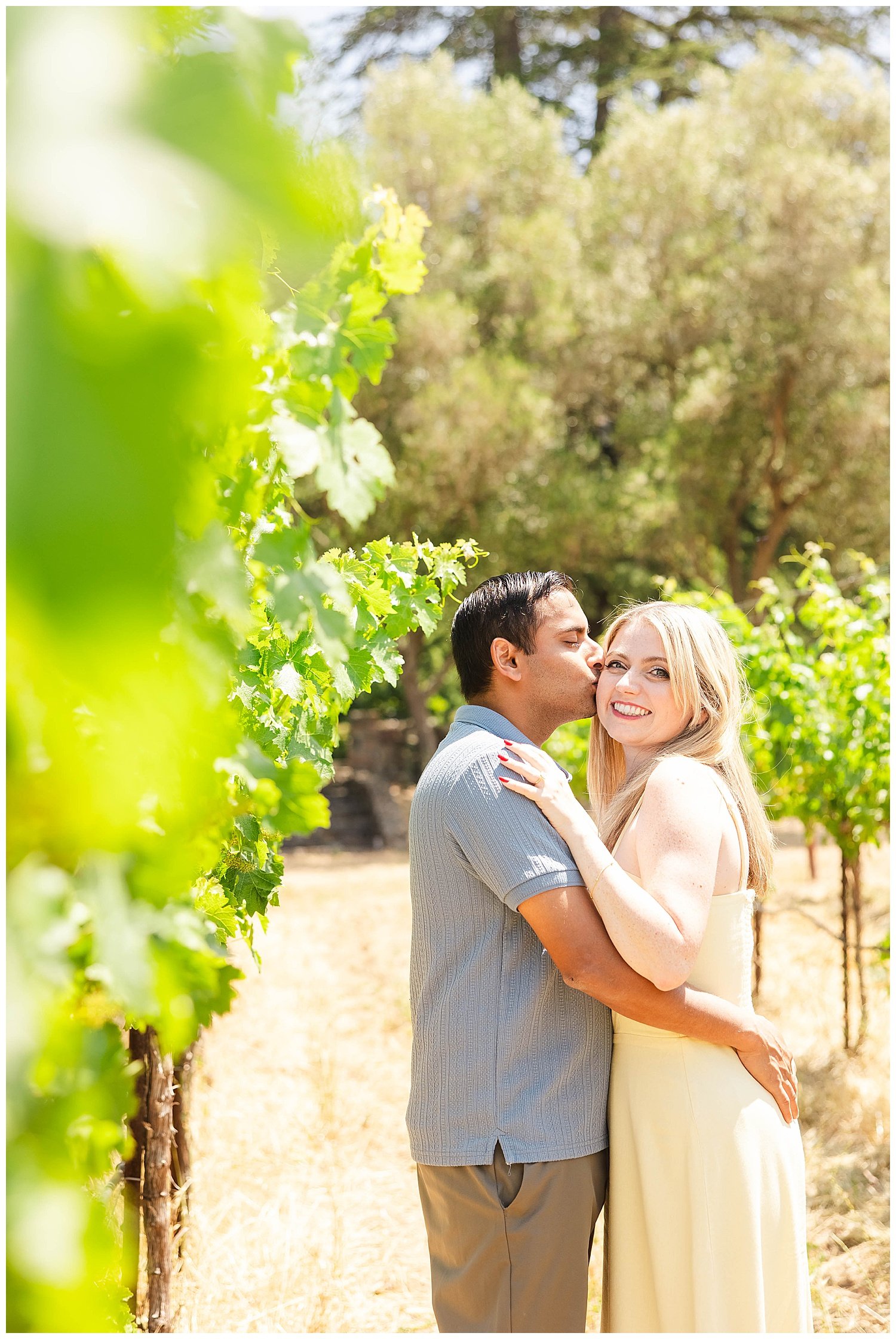 Vineyard Proposal at Stags' Leap_0011.jpg
