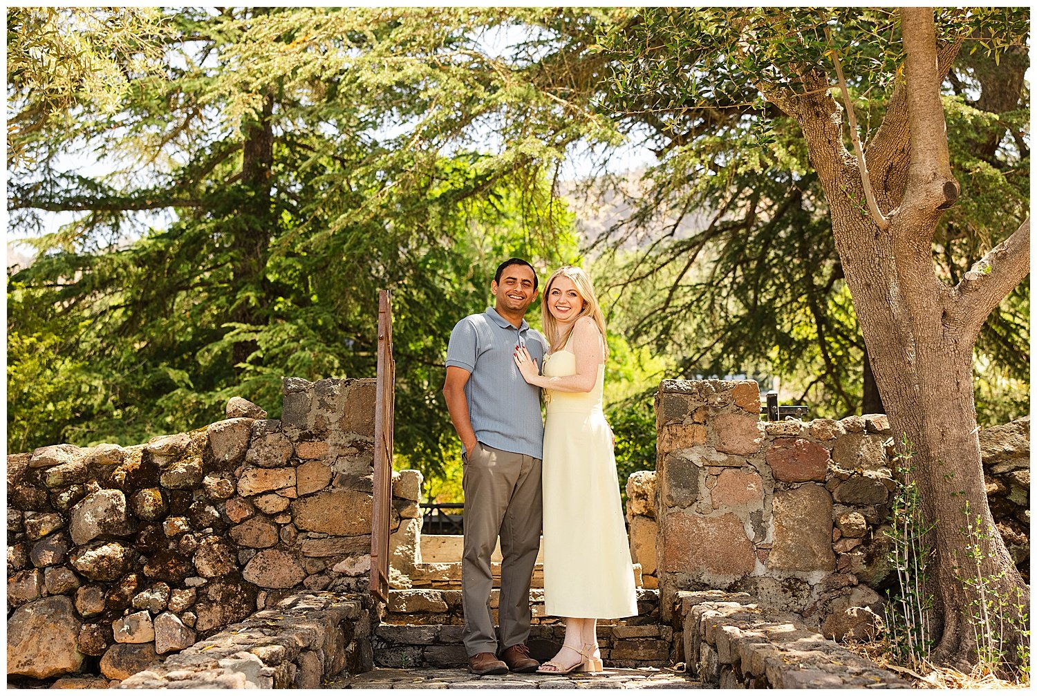 Vineyard Proposal at Stags' Leap_0012.jpg