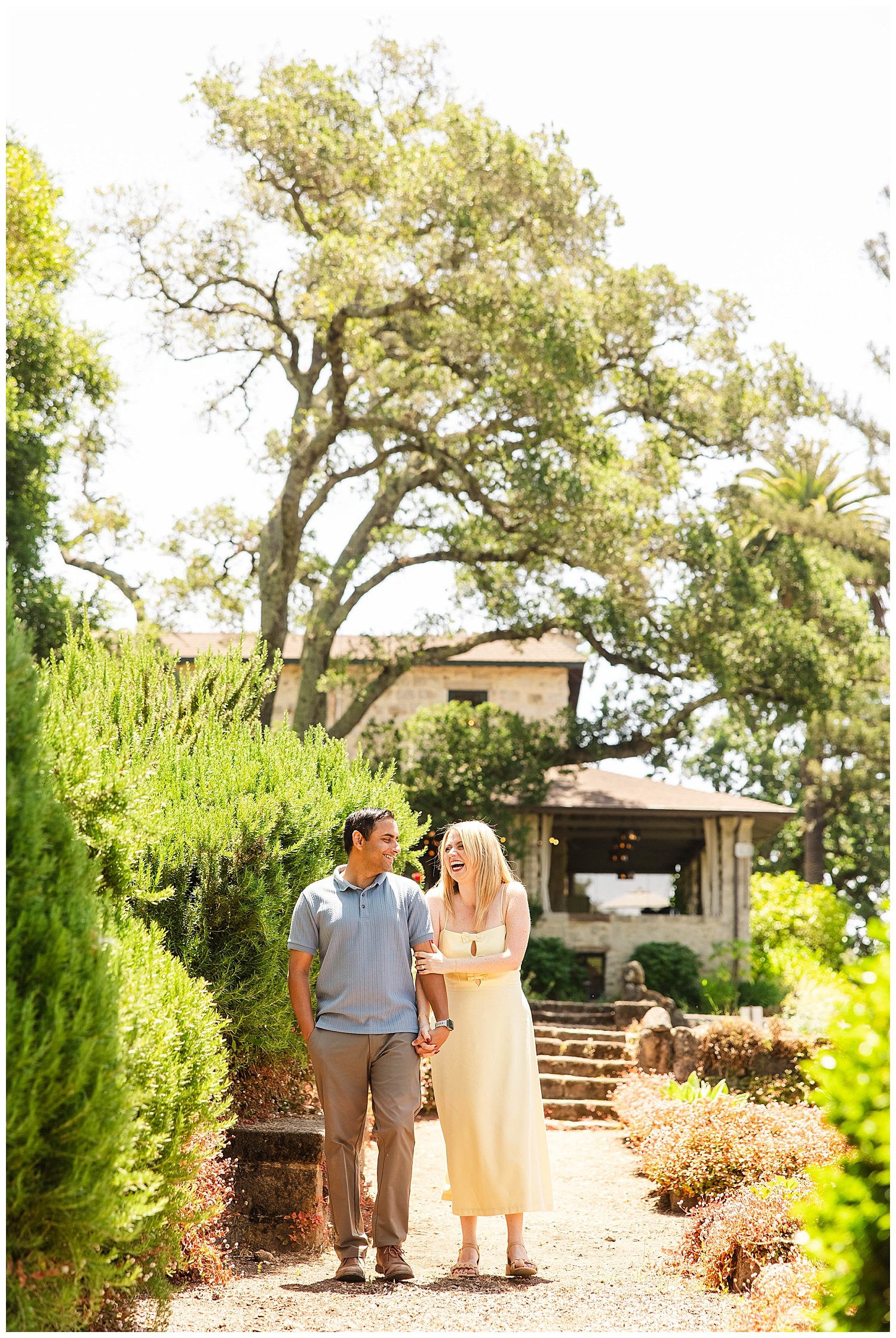 Vineyard Proposal at Stags' Leap_0014.jpg