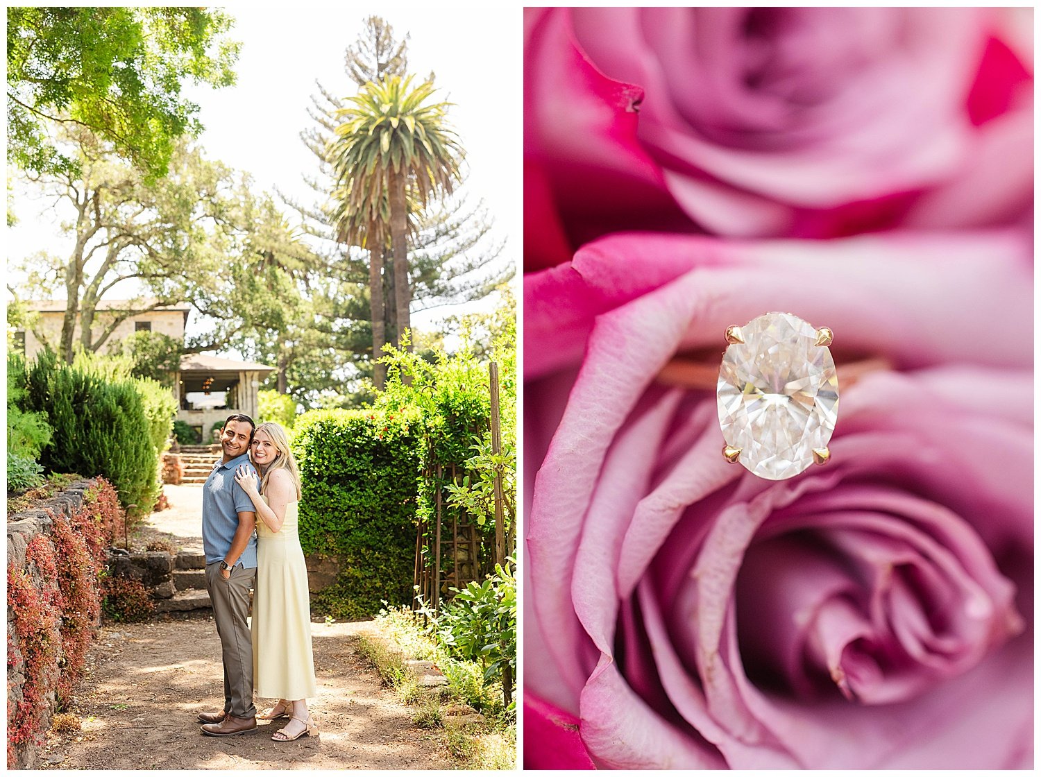Vineyard Proposal at Stags' Leap_0015.jpg
