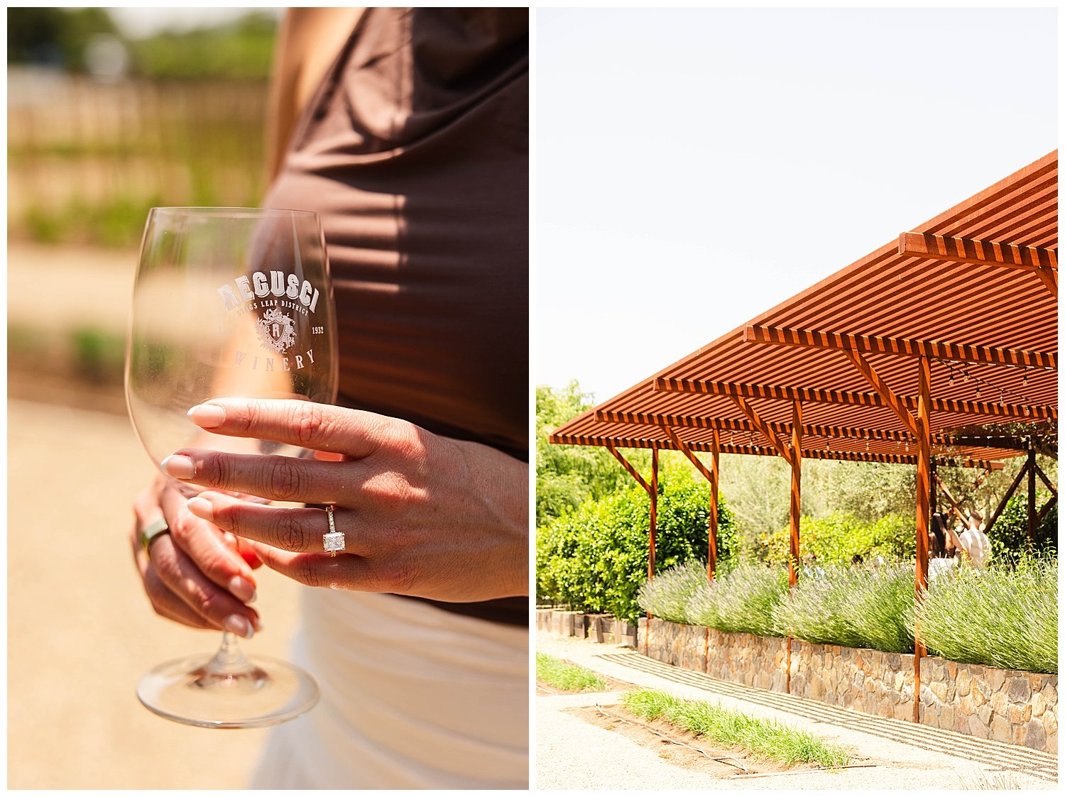 Proposal at Regusci Winery_0010.jpg