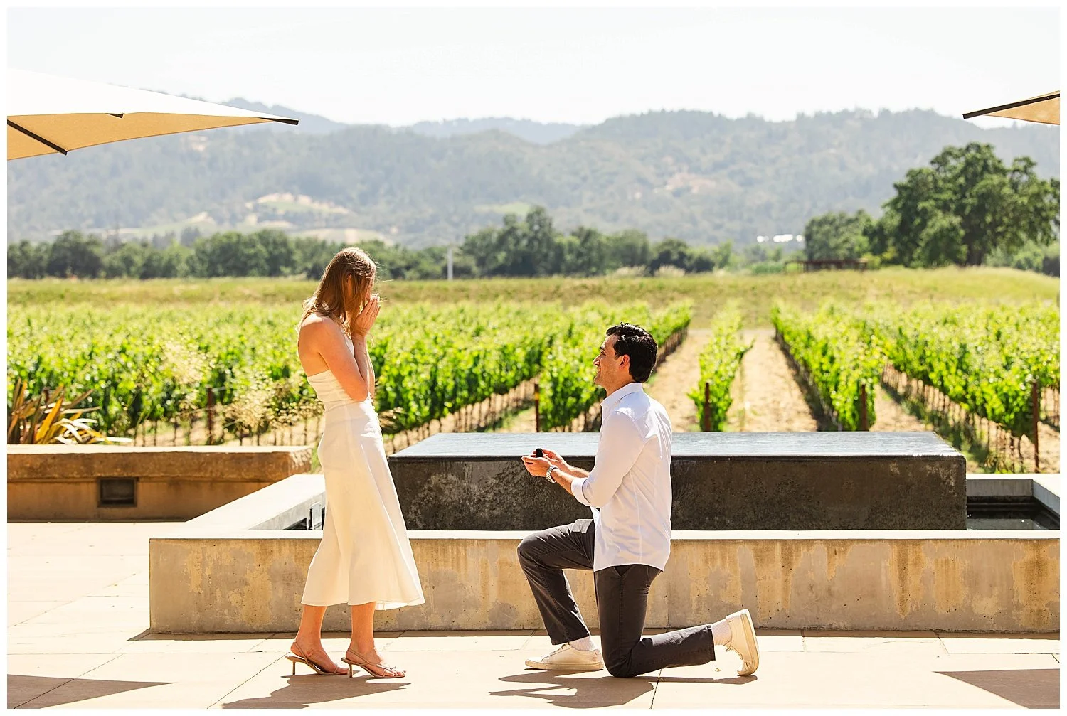 Proposal at Silver Oak Napa Valley_0004.jpg