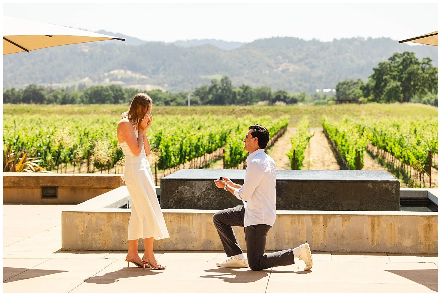 Proposal at Silver Oak Napa Valley_0005.jpg