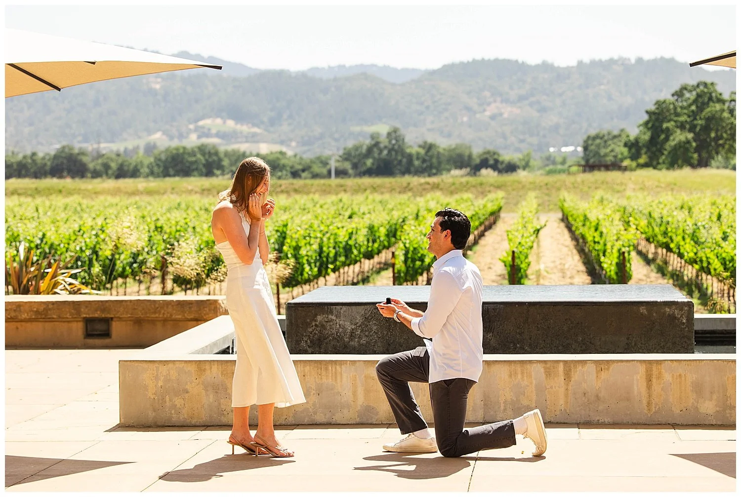 Proposal at Silver Oak Napa Valley_0006.jpg