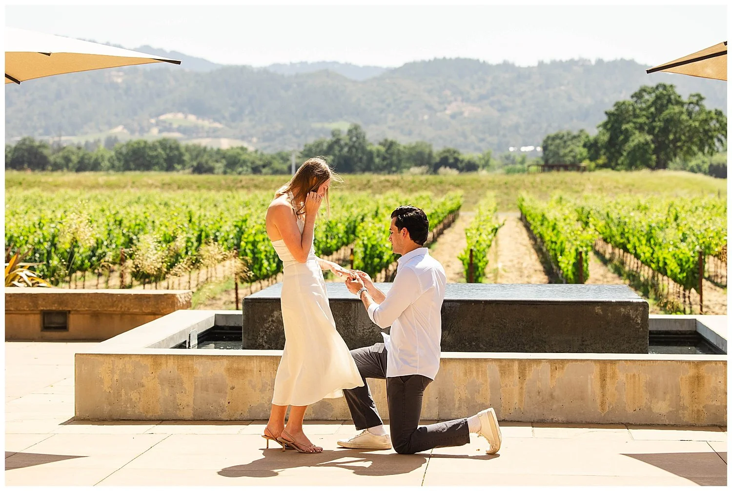 Proposal at Silver Oak Napa Valley_0007.jpg