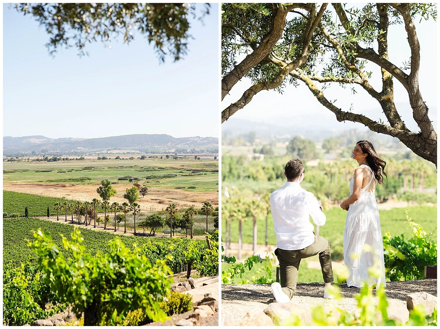 Engagement at Viansa Winery in Sonoma California-2.jpg