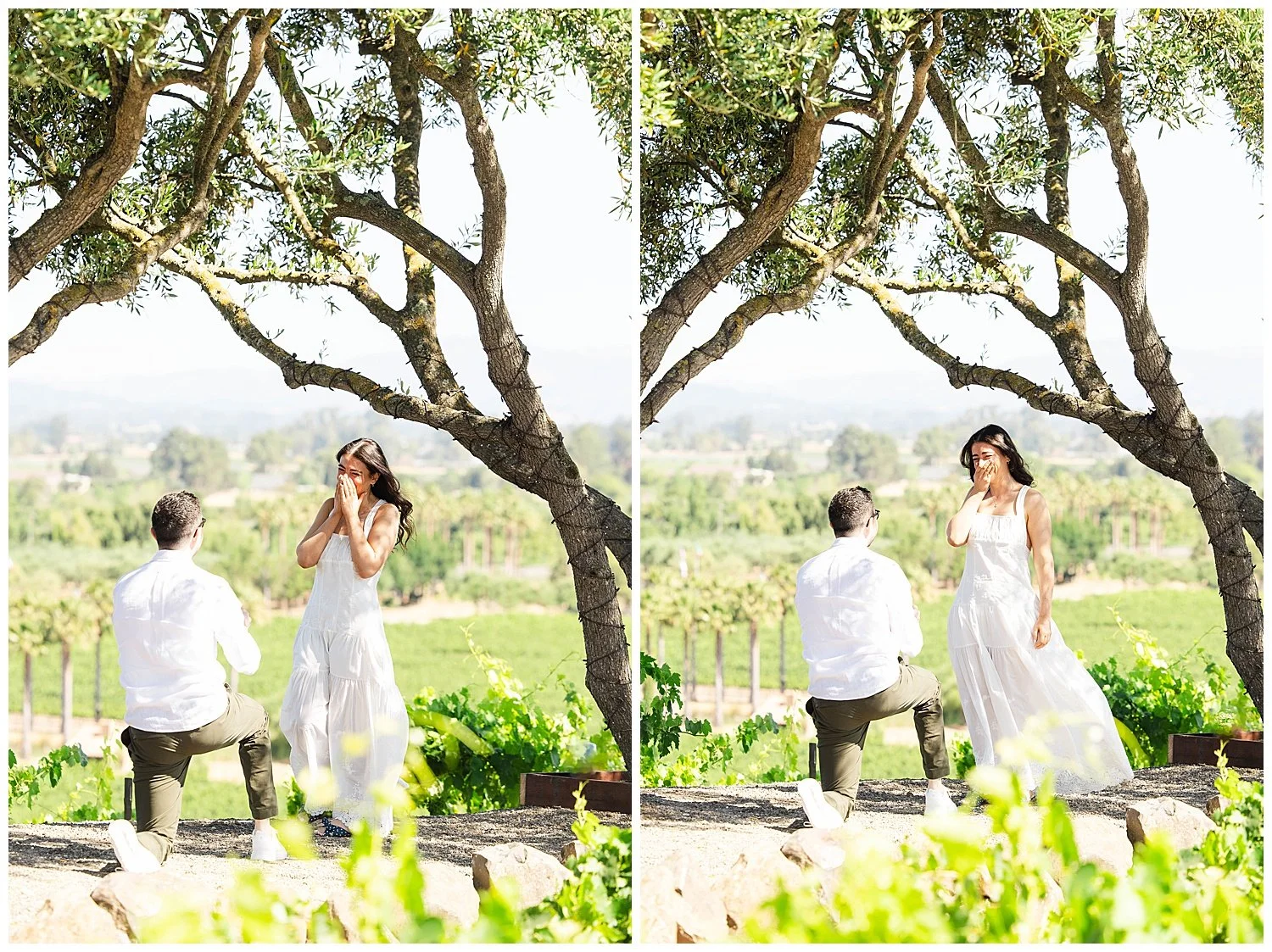 Engagement at Viansa Winery in Sonoma California-4.jpg