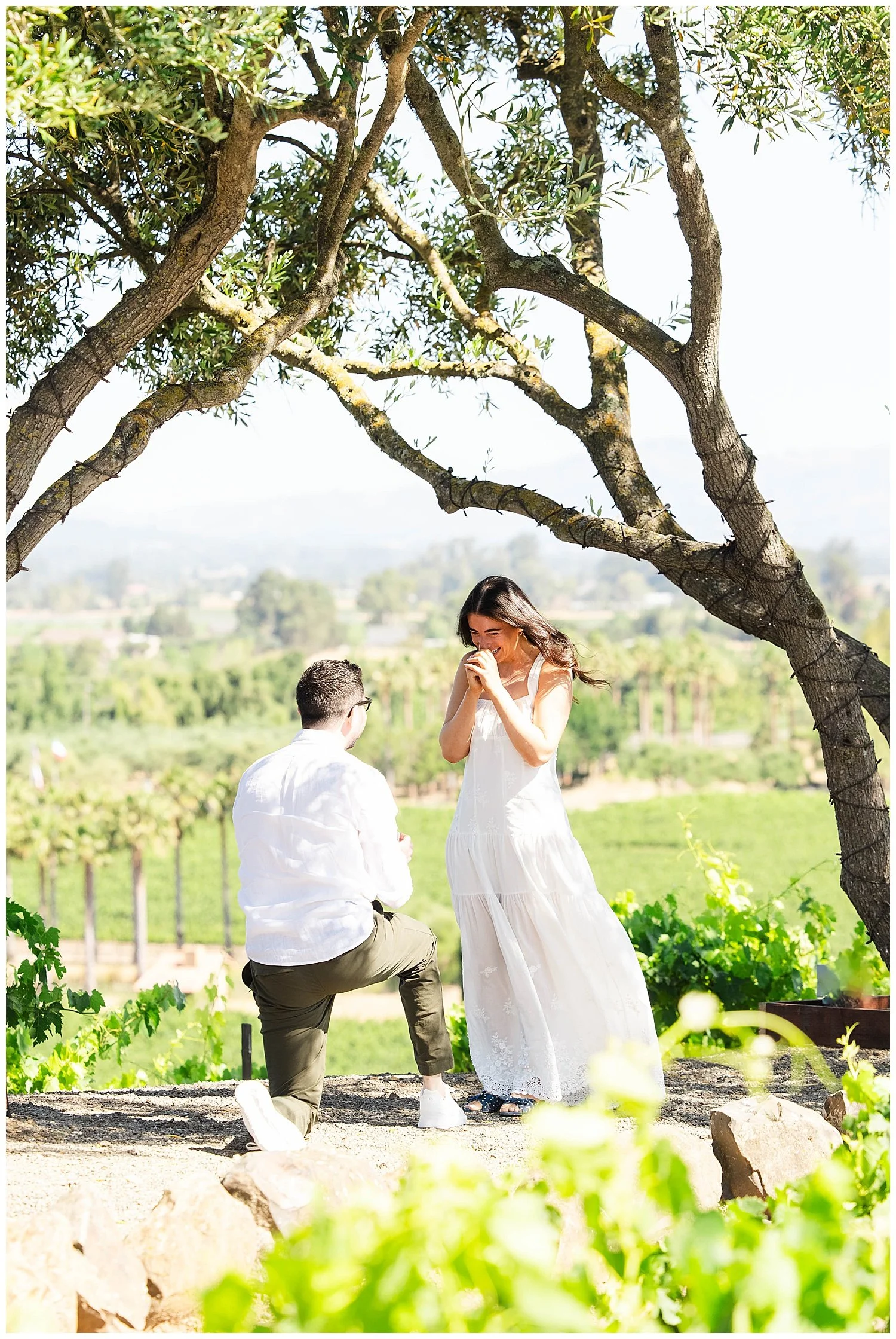 Engagement at Viansa Winery in Sonoma California-5.jpg