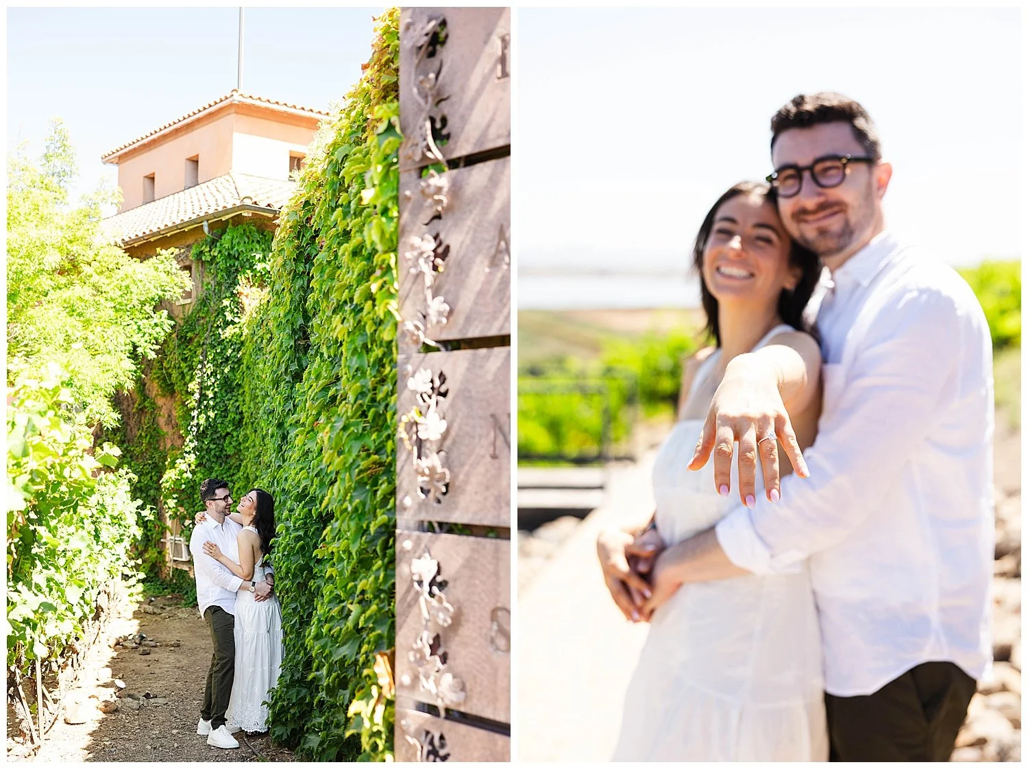 Engagement at Viansa Winery in Sonoma California-11.jpg