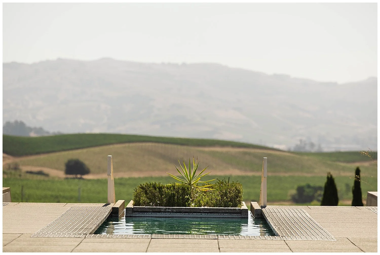 August Proposal at Artesa Winery in Napa California_0001.jpg