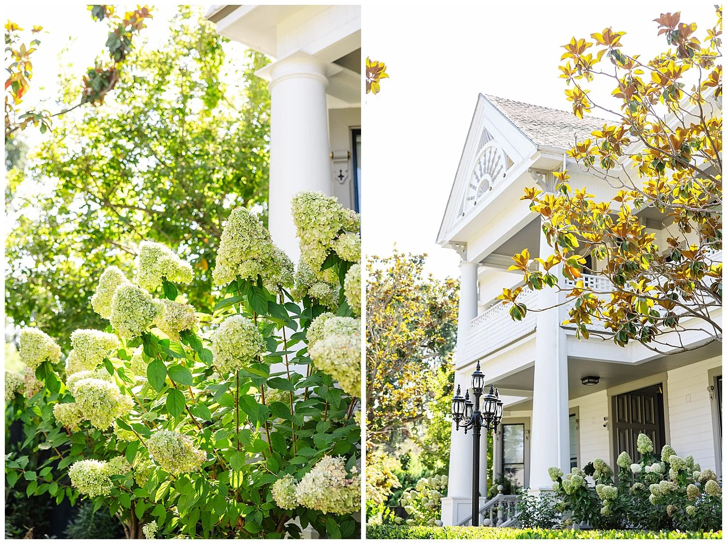 Proposal at White House Napa California_0001.jpg