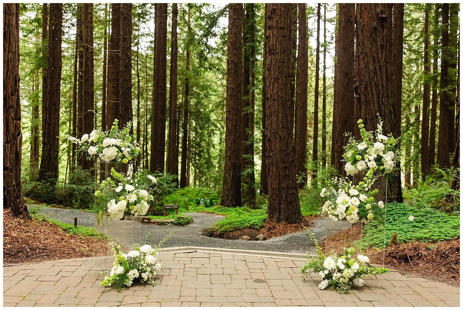 Wedding at UC Botanical Gardens in Berkeley California_0004.jpg