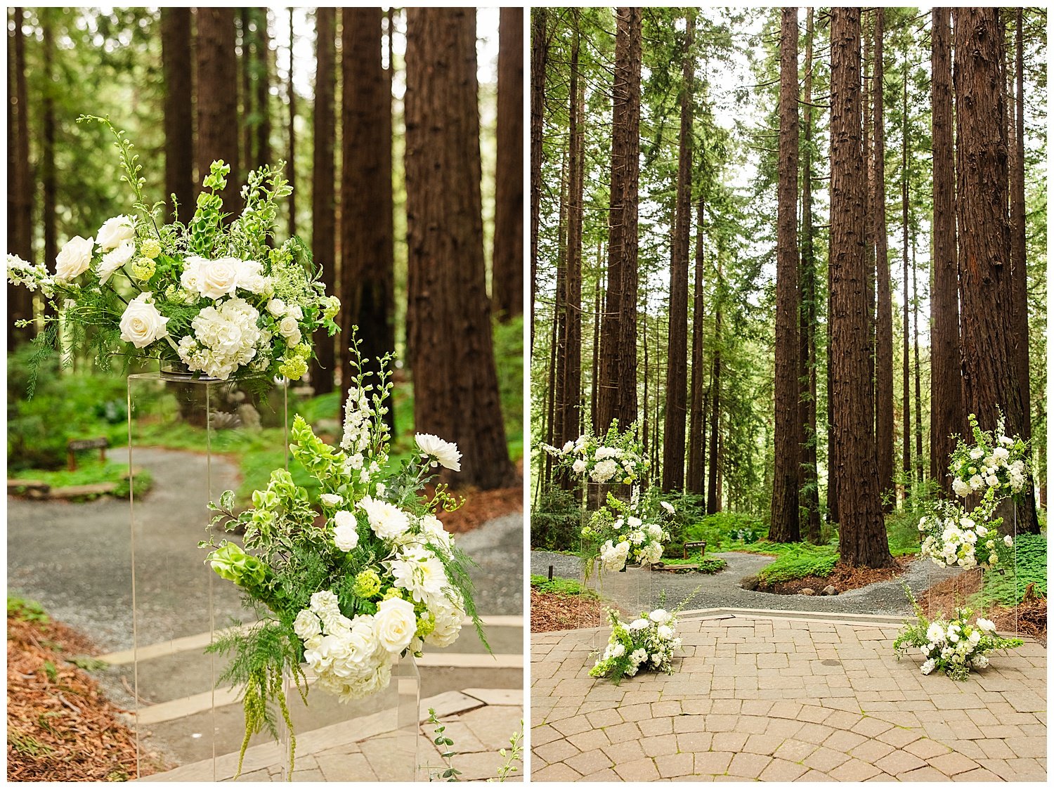 Wedding at UC Botanical Gardens in Berkeley California_0005.jpg