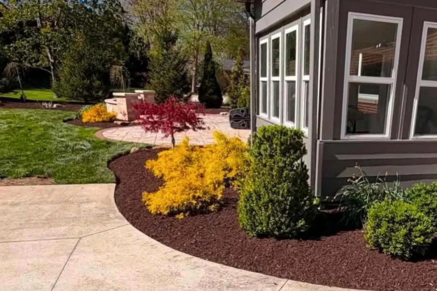 A landscaped backyard with a gray house's exterior on the right, a curved patio, and various colorful shrubs and trees, including red, yellow, and green foliage.