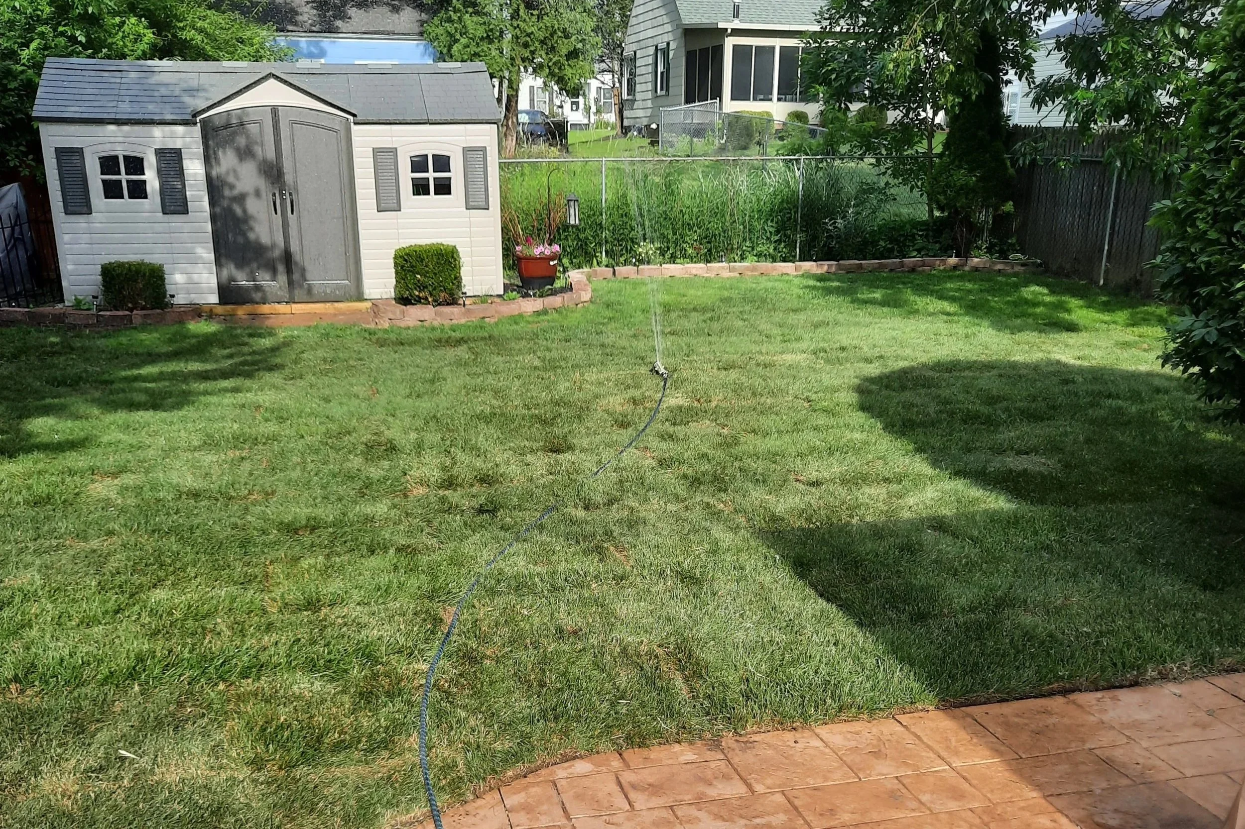 A backyard with a concrete patio and a green lawn, a garden shed, and a small flower bed. A garden hose is stretched across the yard, spraying water in the air.