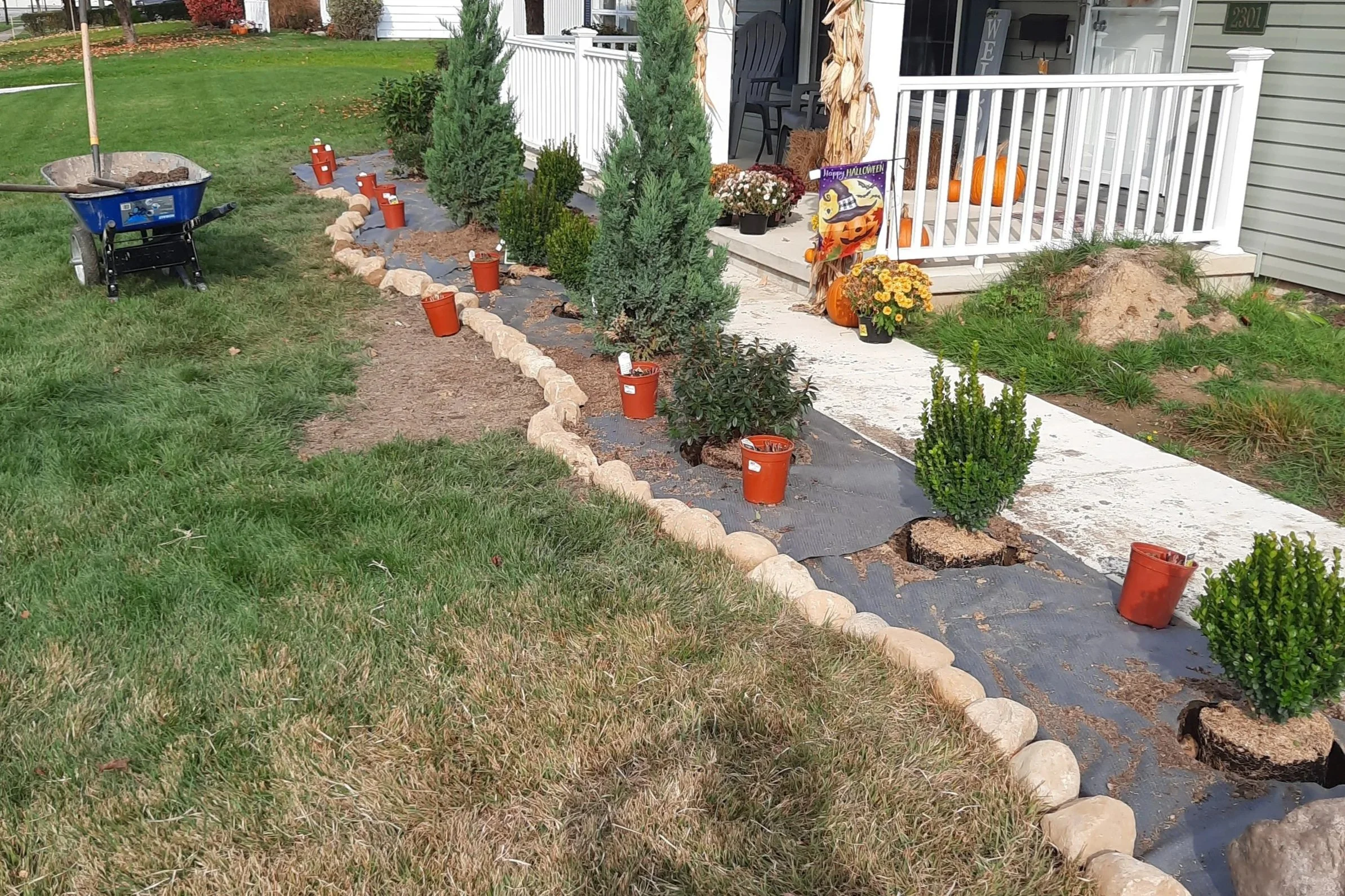 Front yard of a house with a flower bed being landscaped, small bushes, and decorative pumpkins.