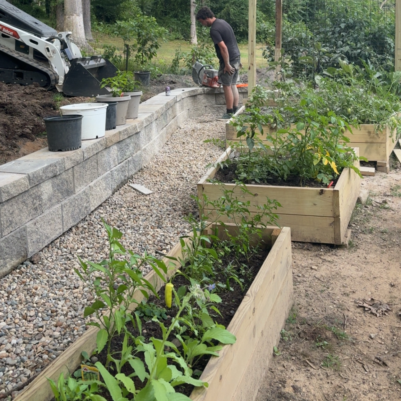 A person using a saw to trim a stone retaining wall in a garden with raised vegetable beds.