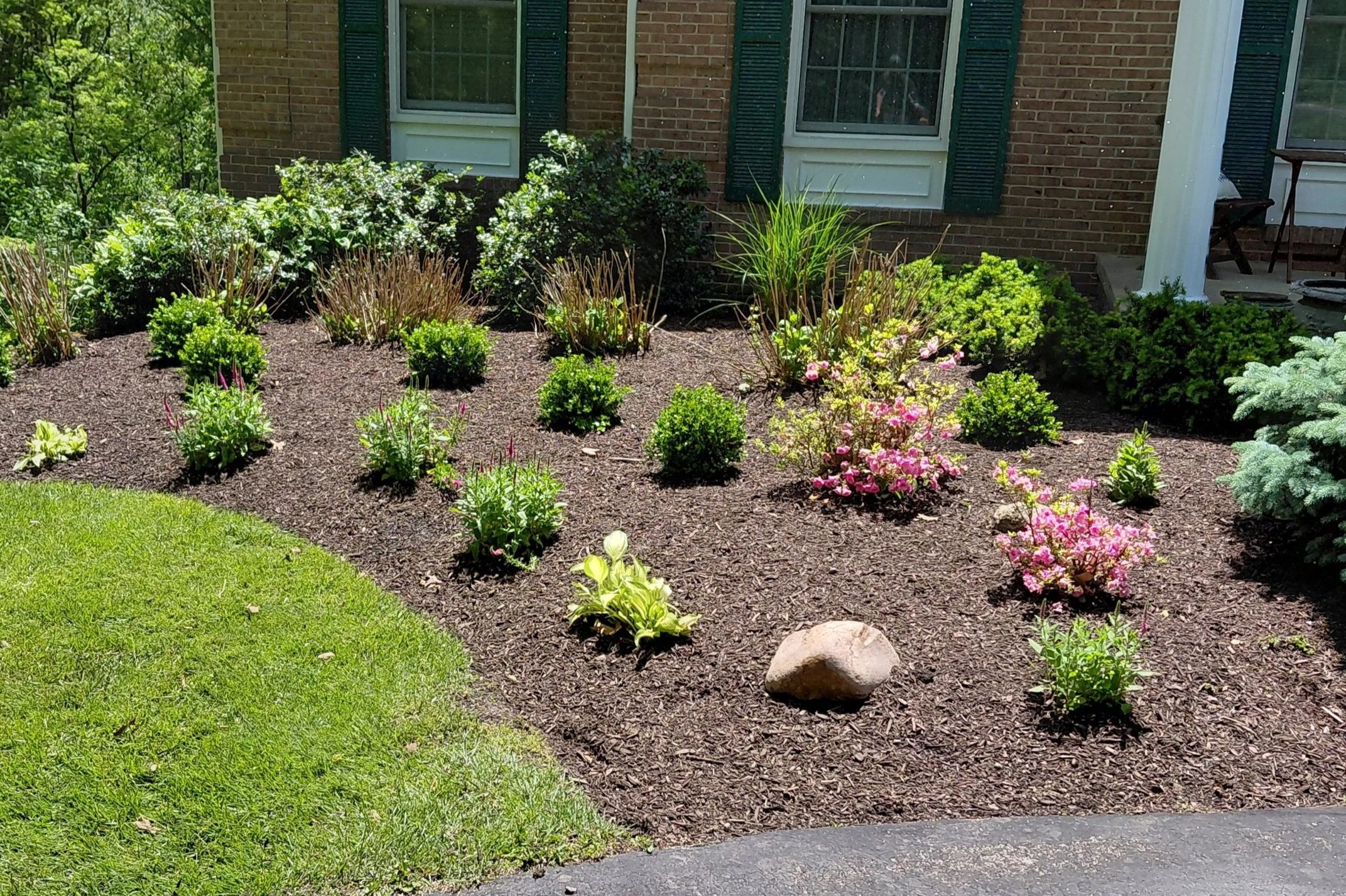 Front yard garden with bushes and flowering plants in front of a brick house with two windows and dark green shutters.