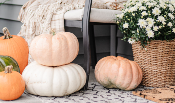 A group of pumpkins and a potted plant with white flowers on a porch.