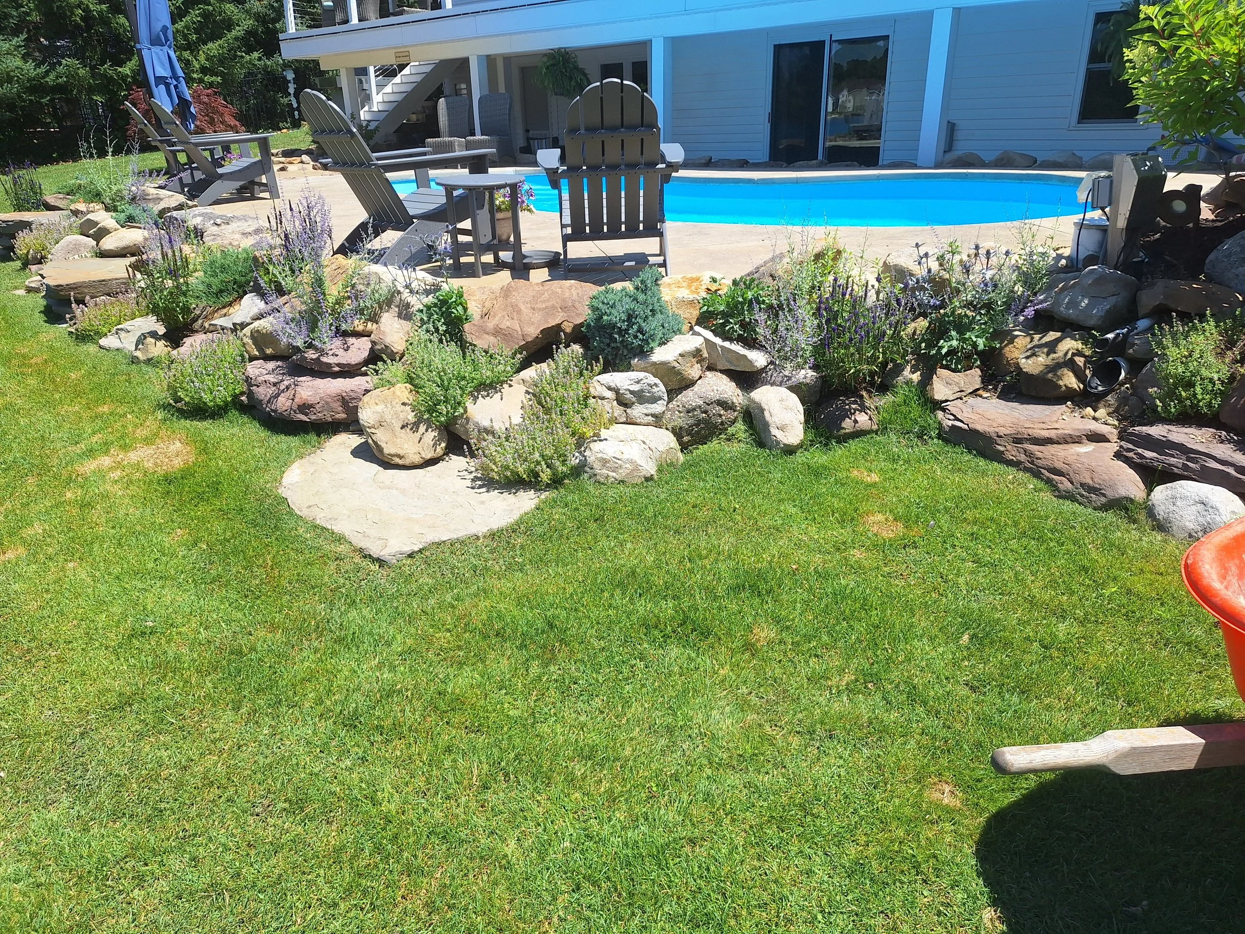 Backyard with a grassy lawn, a raised flower bed with rocks and purple flowering plants, a patio area with wooden chairs, a swimming pool, and a blue house in the background.