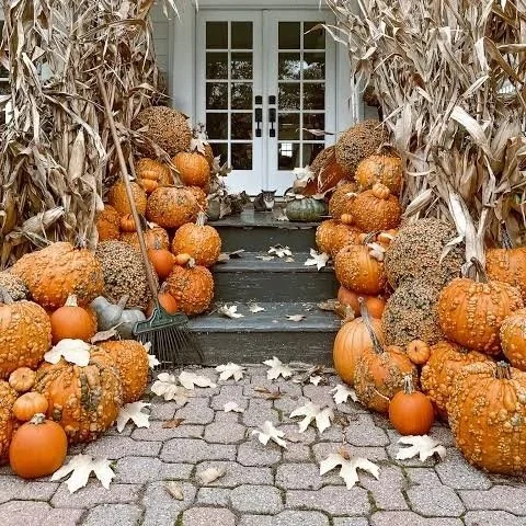 Front porch decorated with pumpkins, gourds, dried corn stalks, and autumn leaves surrounding a white door with glass panes.