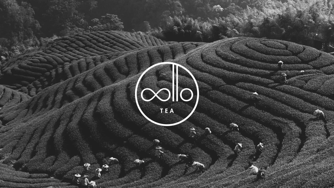 Oollo Tea Branding