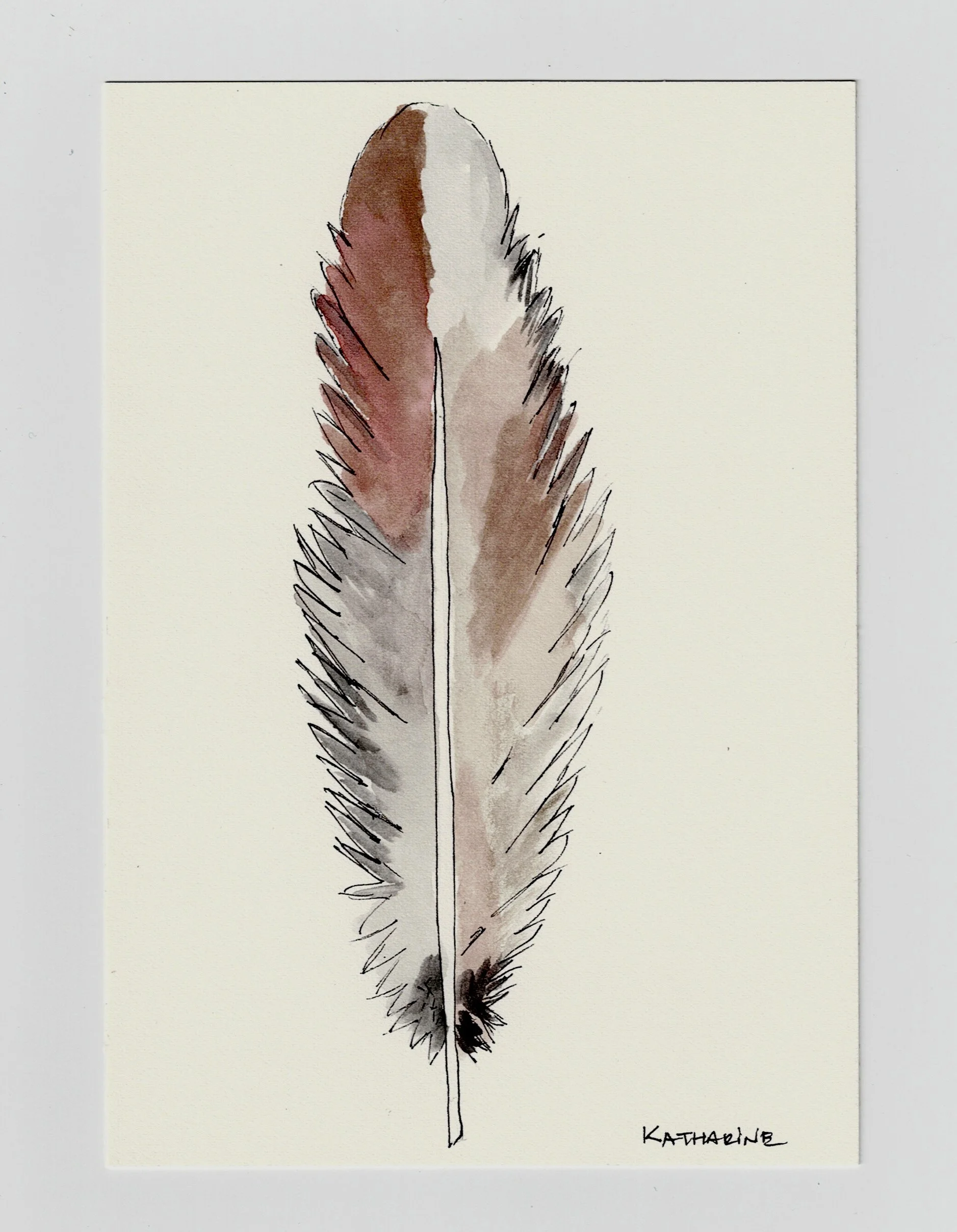 light brown watercolor feather.jpeg